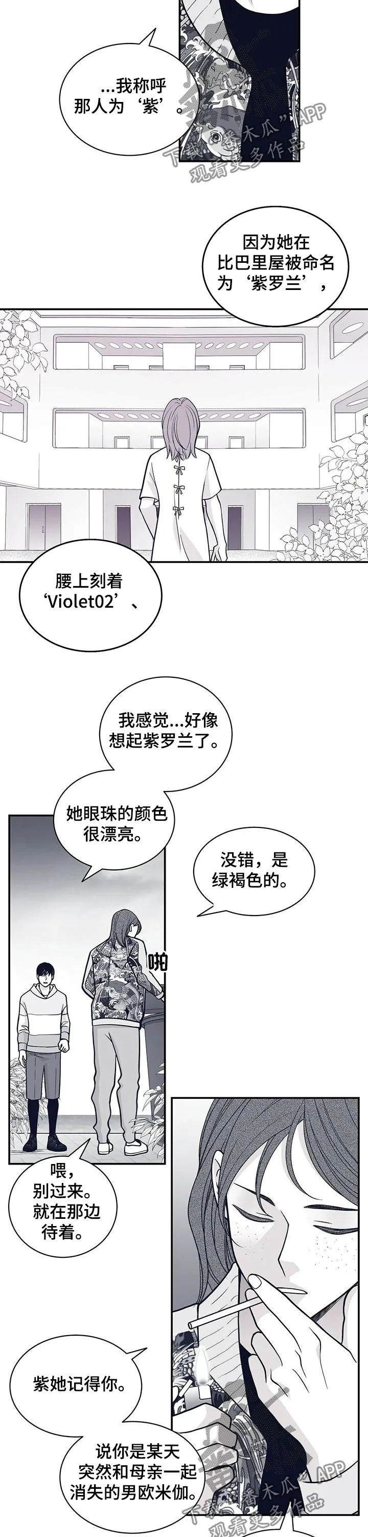 青年瑞恩漫画漫画,第161章：紫4图