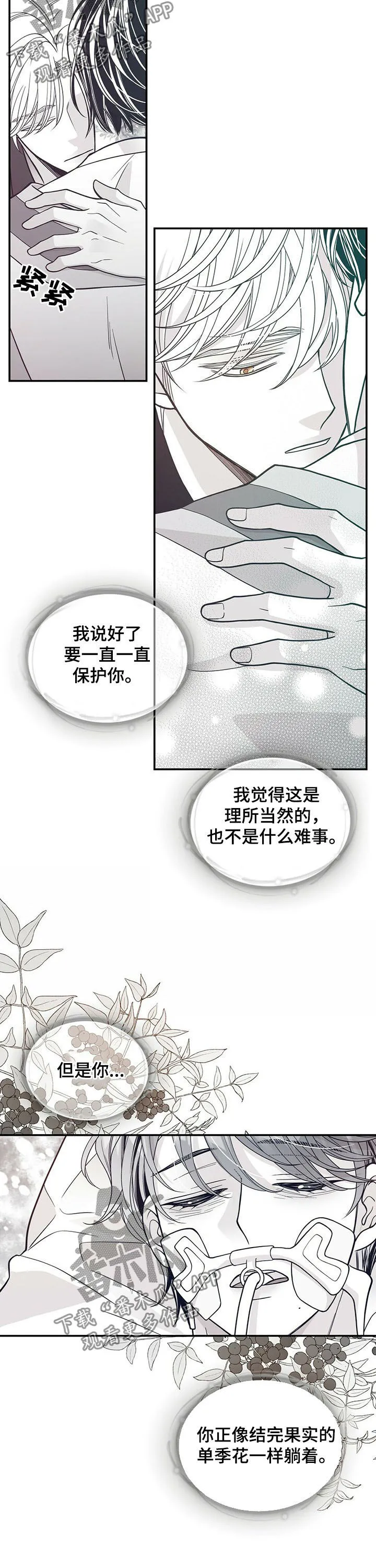 青年瑞恩漫画漫画,第193章：【第二季】命运9图