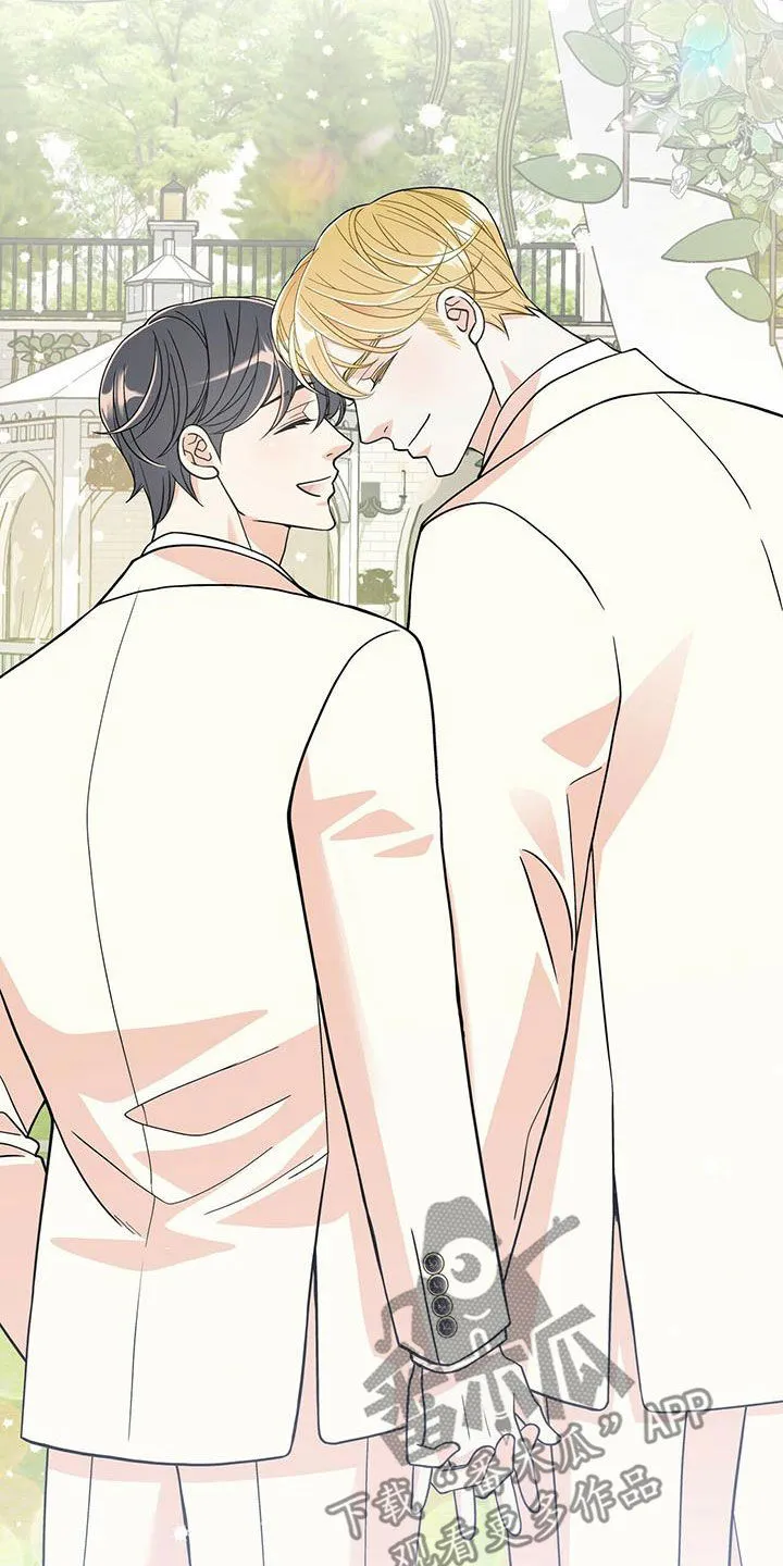青年瑞恩漫画漫画,第235章：【番外】新婚旅行2图