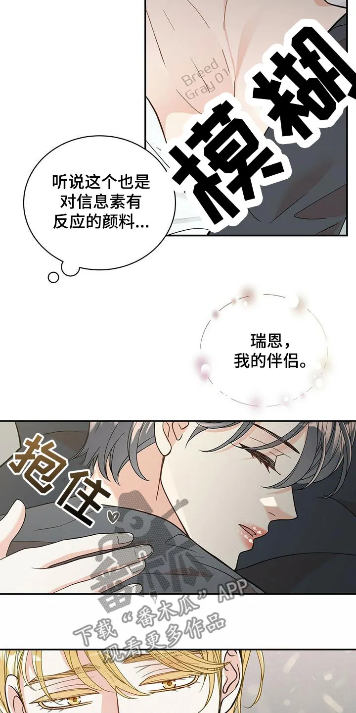 青年瑞恩漫画漫画,第232章：【番外】醒悟13图