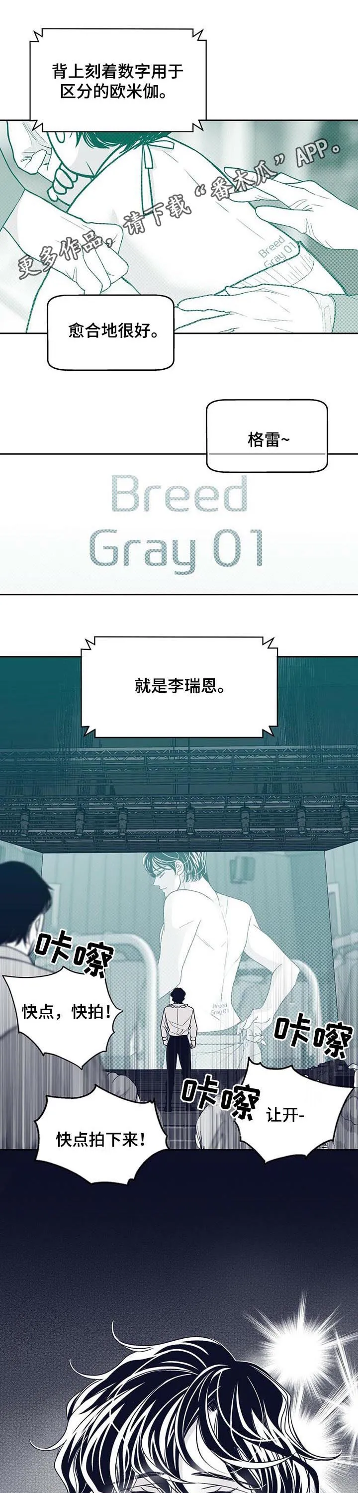 青年瑞恩漫画漫画,第131章：硬闯1图