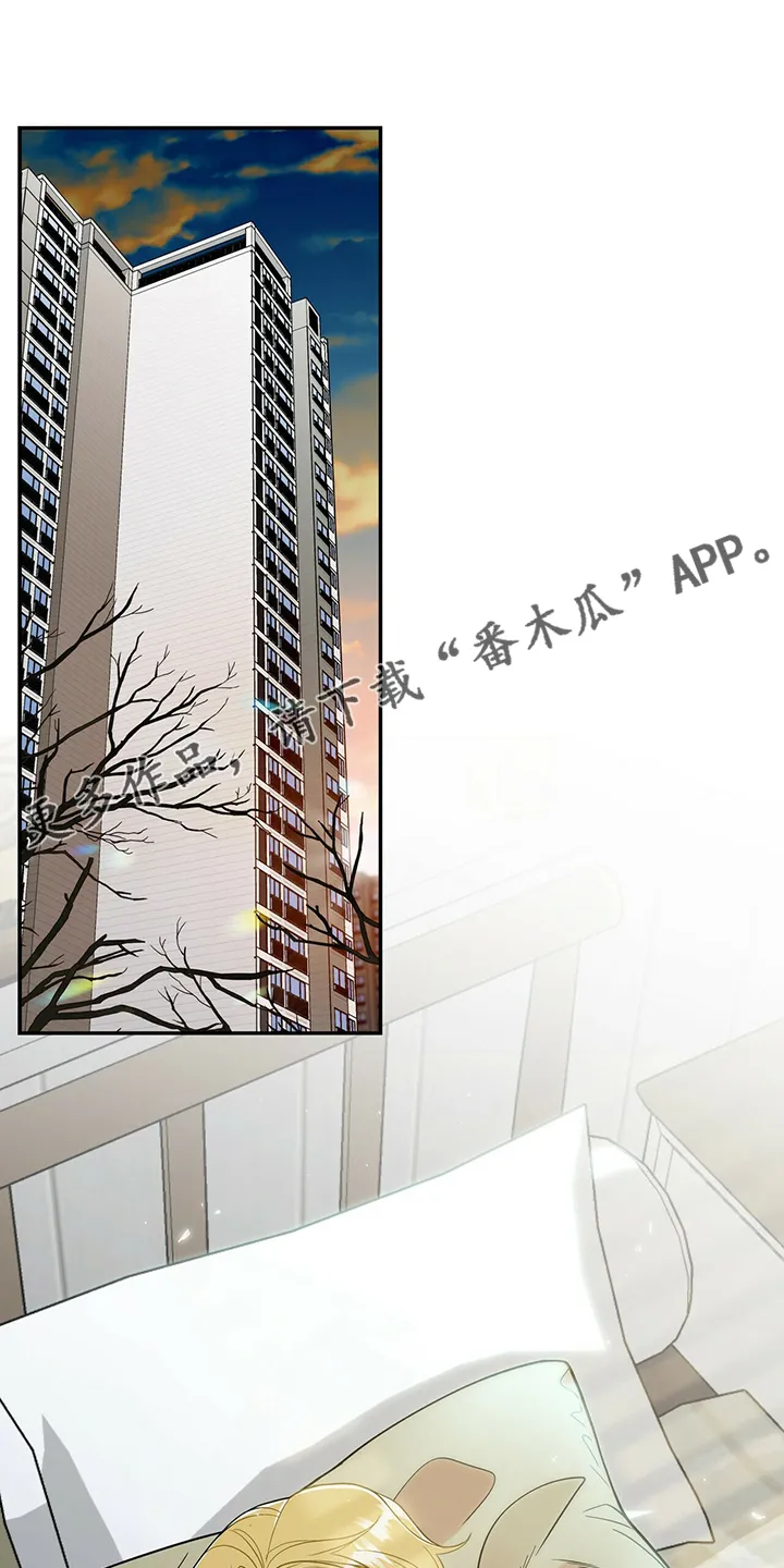 博人传漫画青年篇10漫画,第217章：【番外】支持工作1图
