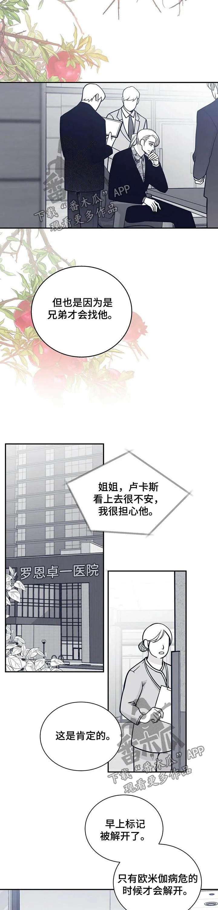 博人传青年漫画漫画,第194章：【第二季】贵宾5图