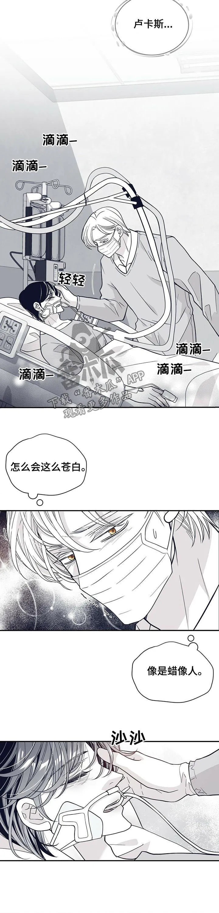 青年瑞恩漫画漫画,第188章：【第二季】时日无多4图