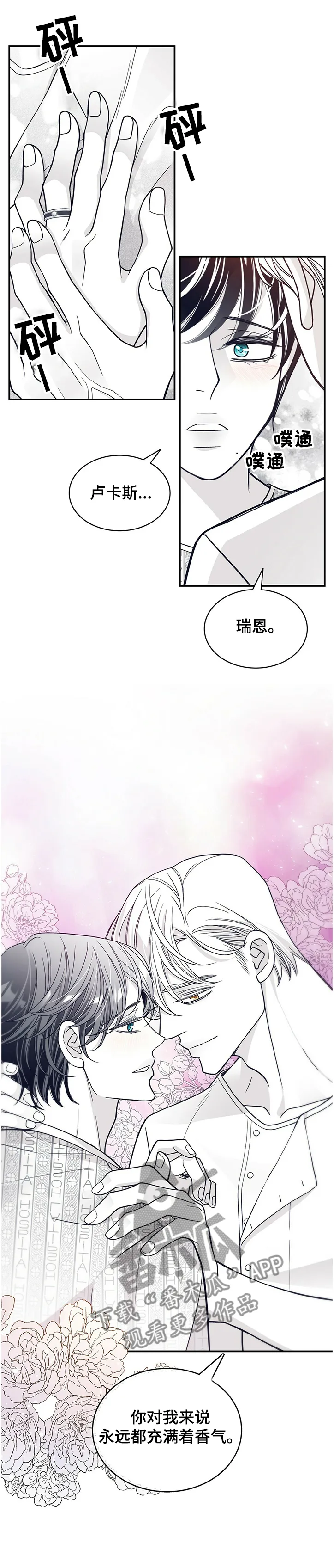 青年瑞恩漫画漫画,第204章：【第二季】炎症1图