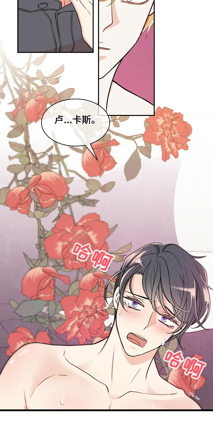 青年瑞恩漫画漫画,第214章：【番外】繁殖期又来了12图