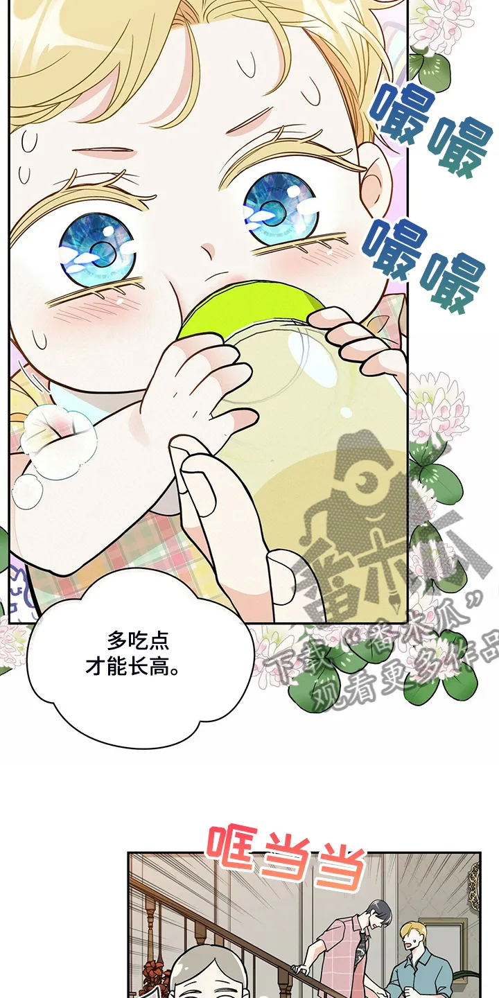 青年瑞恩漫画漫画,第215章：【番外】又怀孕怎么办12图