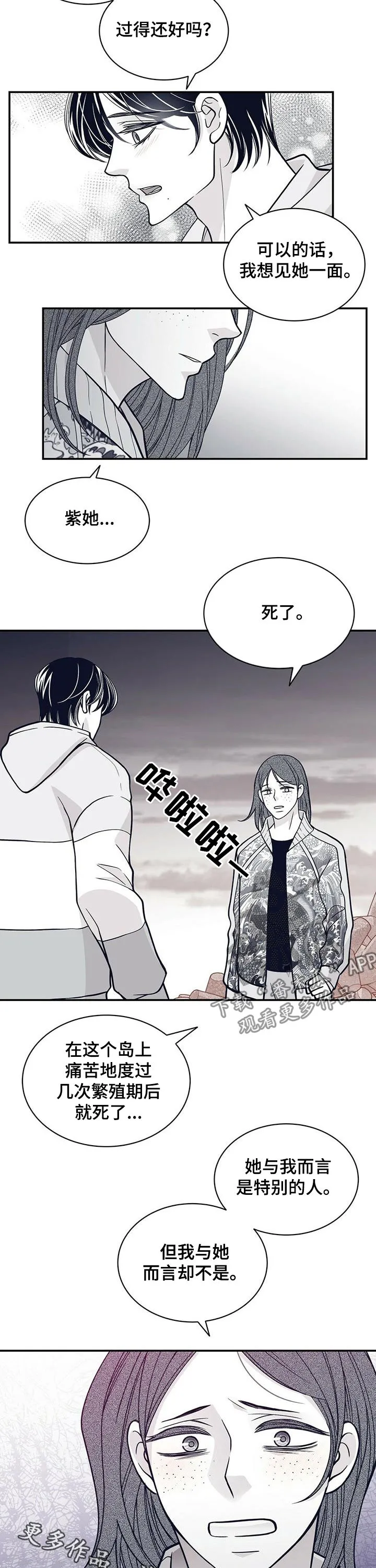 青年瑞恩漫画漫画,第161章：紫10图