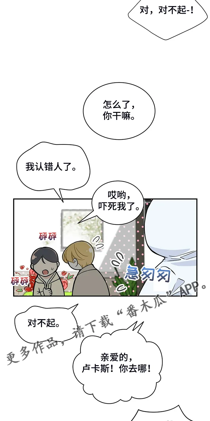 青年瑞恩漫画有其他名字吗漫画,第227章：【番外】认错人23图