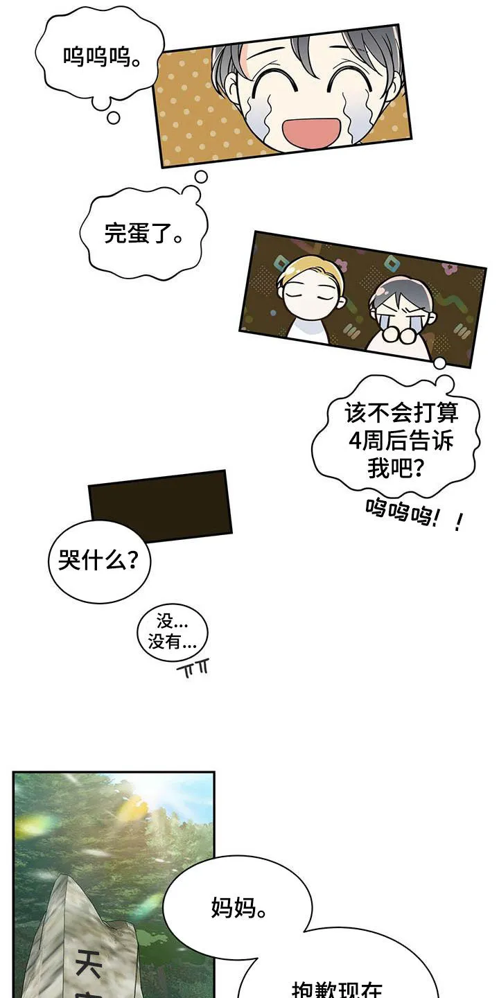 青年瑞恩漫画漫画,第234章：【番外】祝你幸福12图