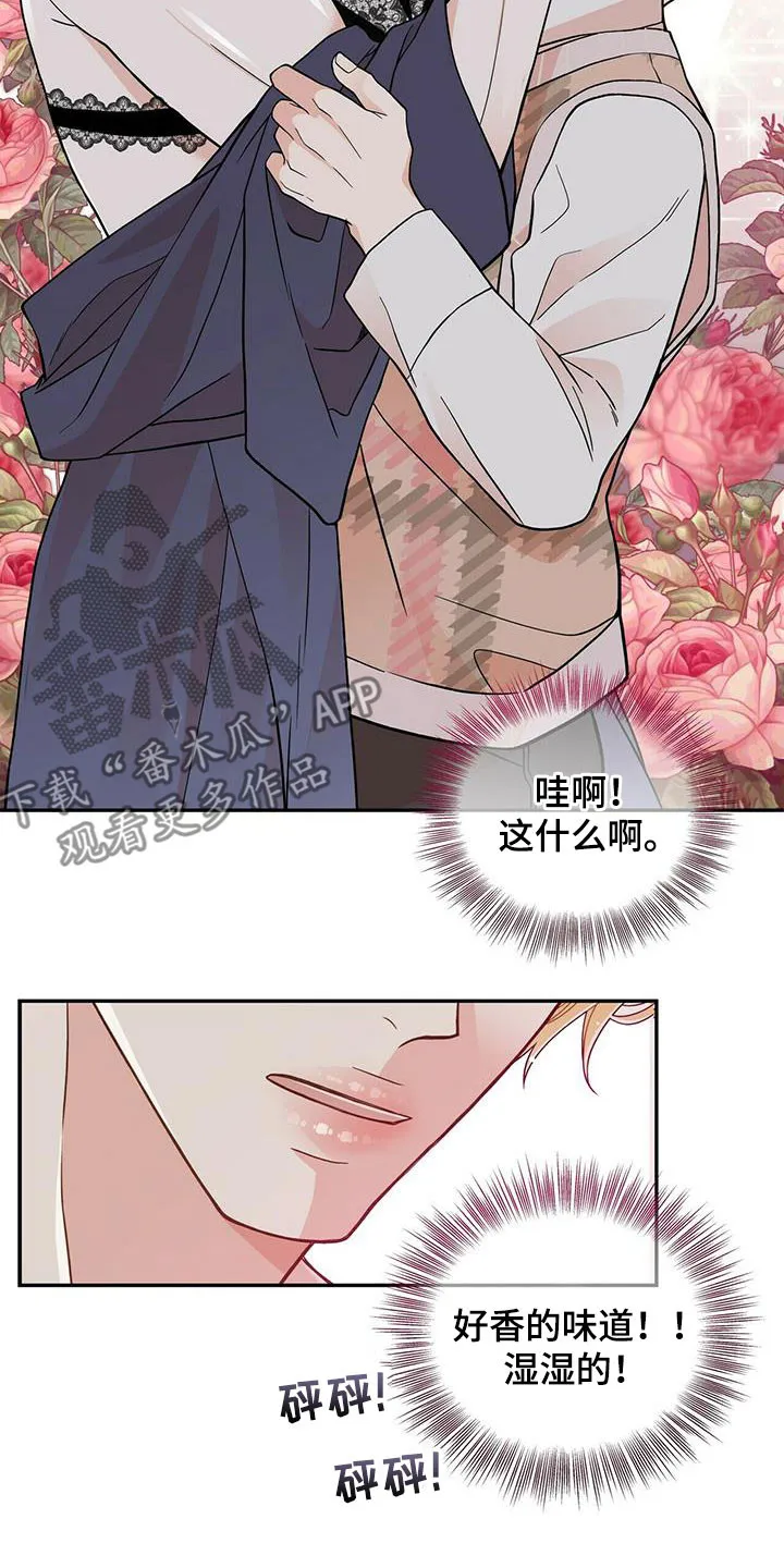 青年瑞恩漫画漫画,第230章：【番外】得逞19图