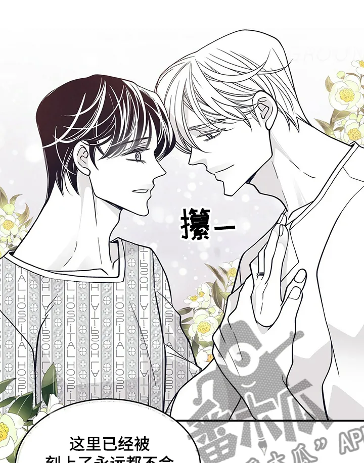 青年瑞恩漫画解说漫画,第203章：【第二季】憧憬未来14图