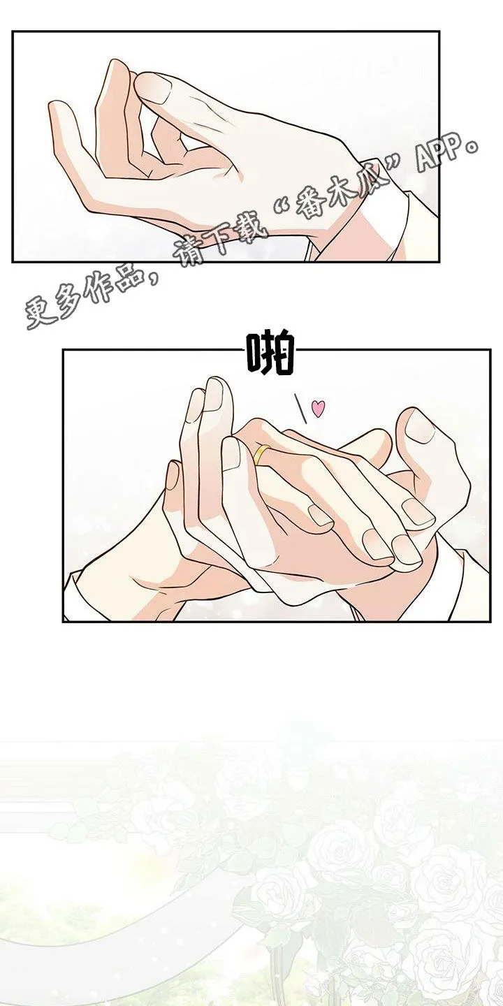 青年瑞恩漫画漫画,第235章：【番外】新婚旅行1图