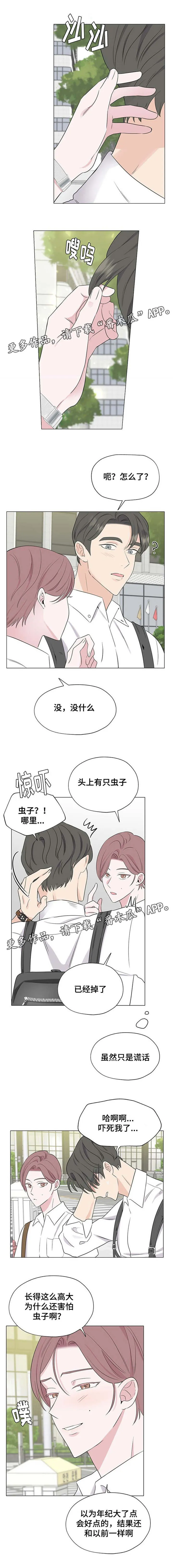 消融术是什么原理漫画,第17章：这是什么1图