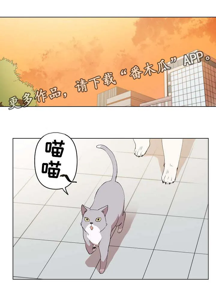 满级玩家归来 漫画漫画,第32章：秀恩爱1图
