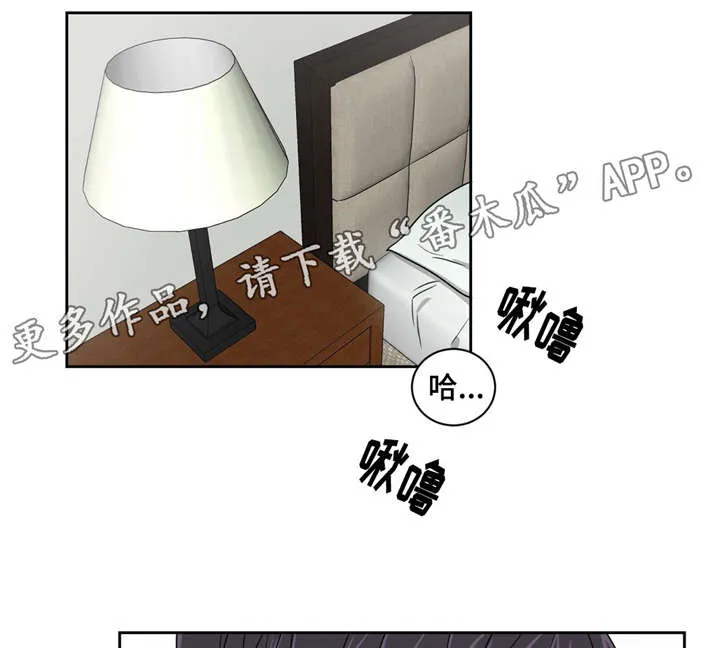 心花室放漫画,第16章：有喜欢的人了6图