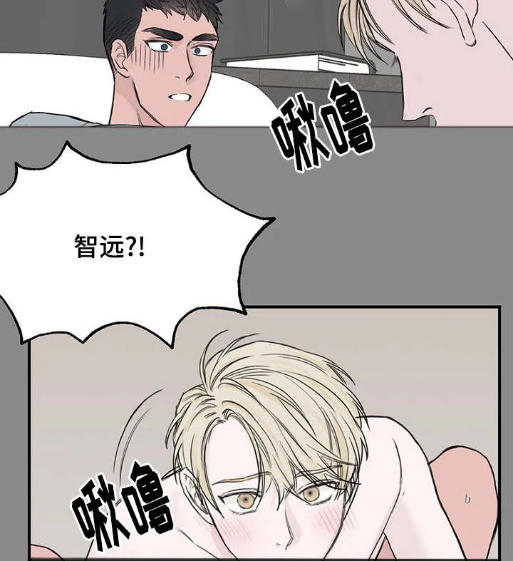 猫咪迷惑行为大赏漫画漫画,第32章：新一轮的计划29图