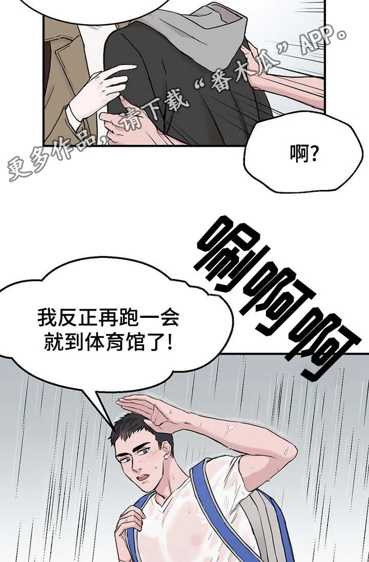 猫咪迷惑行为大赏漫画漫画,第6章：一起躲雨15图