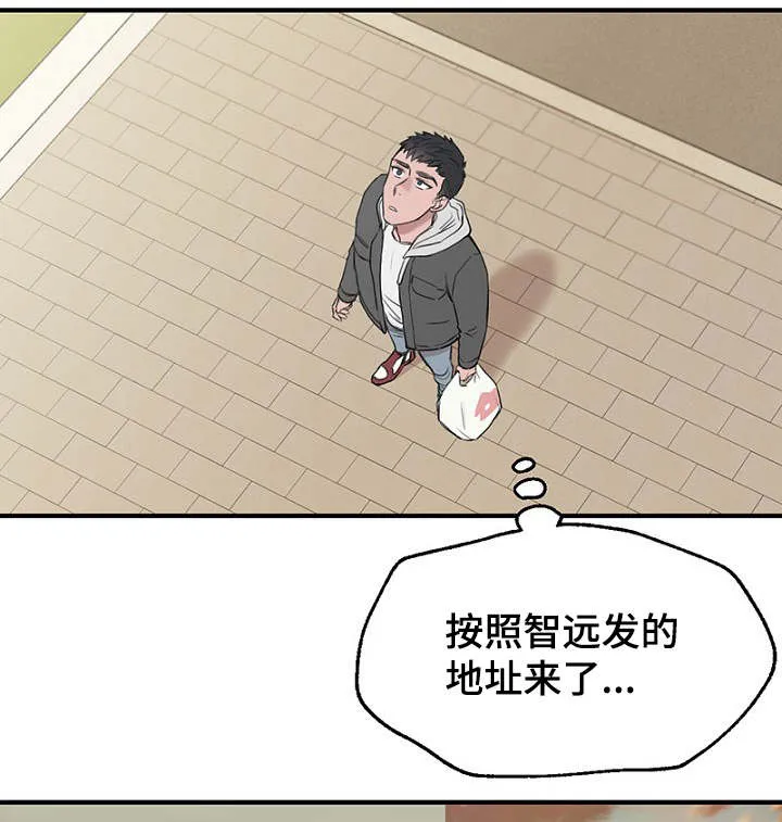猫咪迷惑行为大赏漫画漫画,第34章：完美计划9图