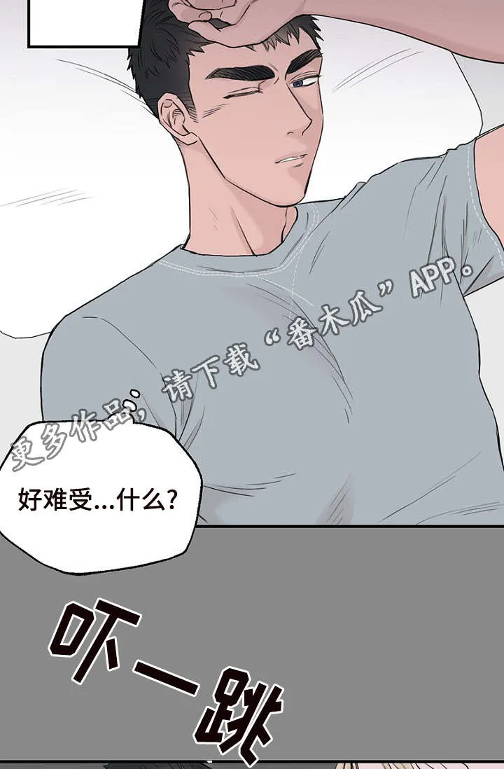 猫咪迷惑行为大赏漫画漫画,第32章：新一轮的计划28图