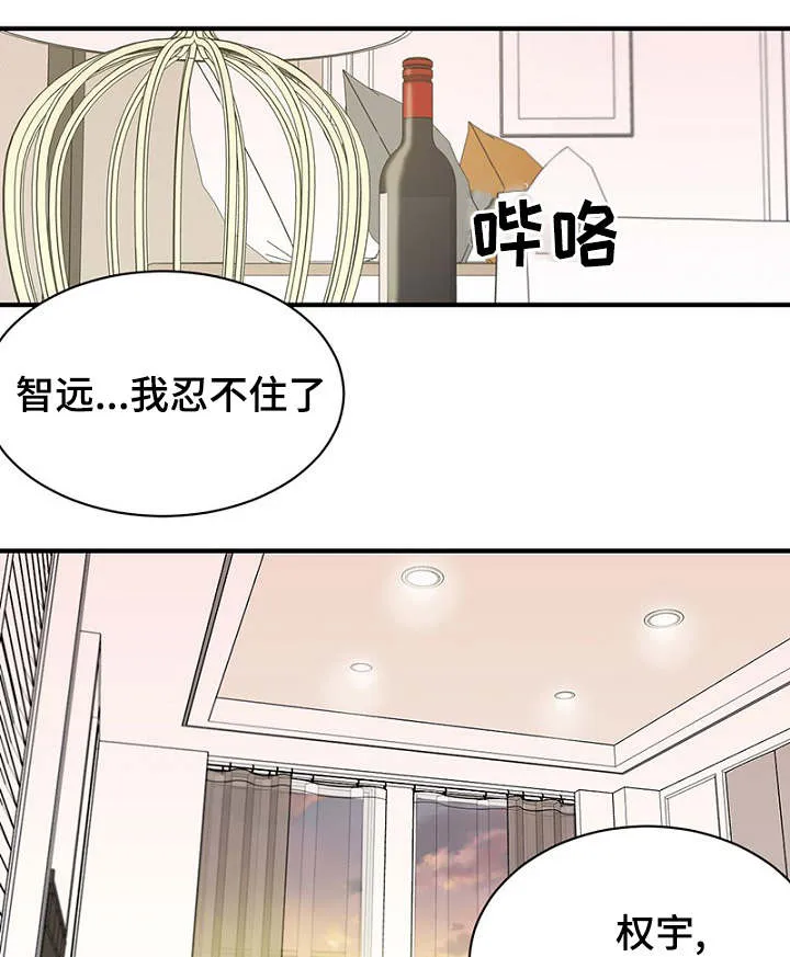 猫咪迷惑行为大赏漫画漫画,第34章：完美计划12图