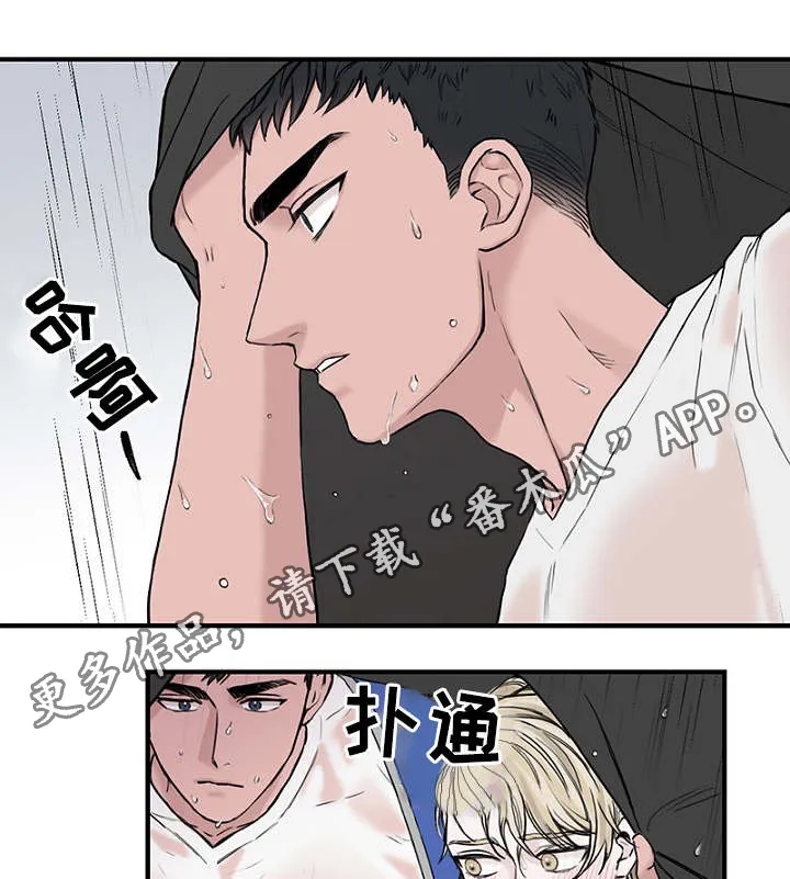 猫咪迷惑行为大赏漫画漫画,第6章：一起躲雨5图