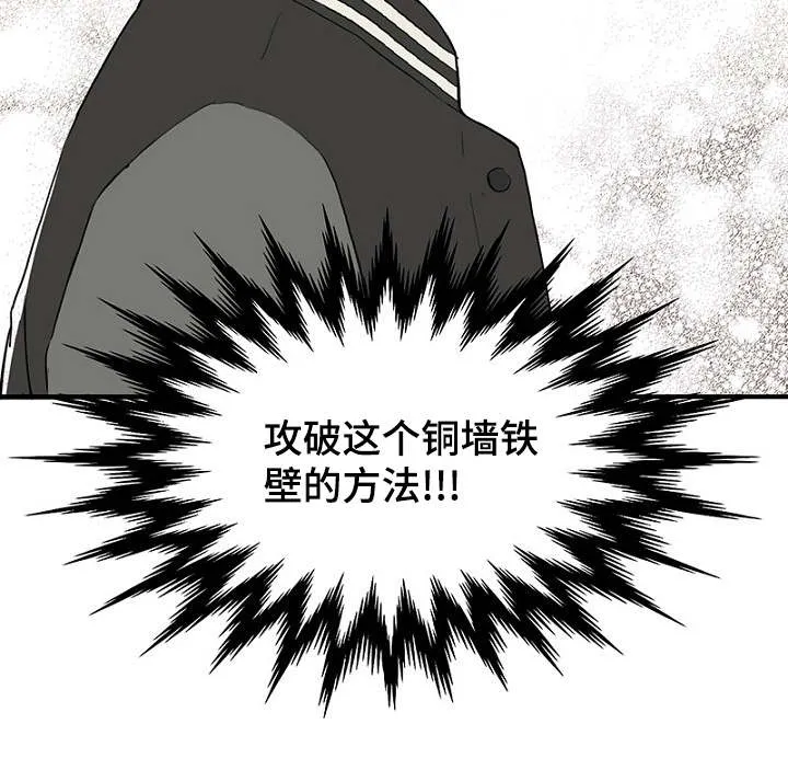 猫咪迷惑行为大赏漫画漫画,第32章：新一轮的计划9图