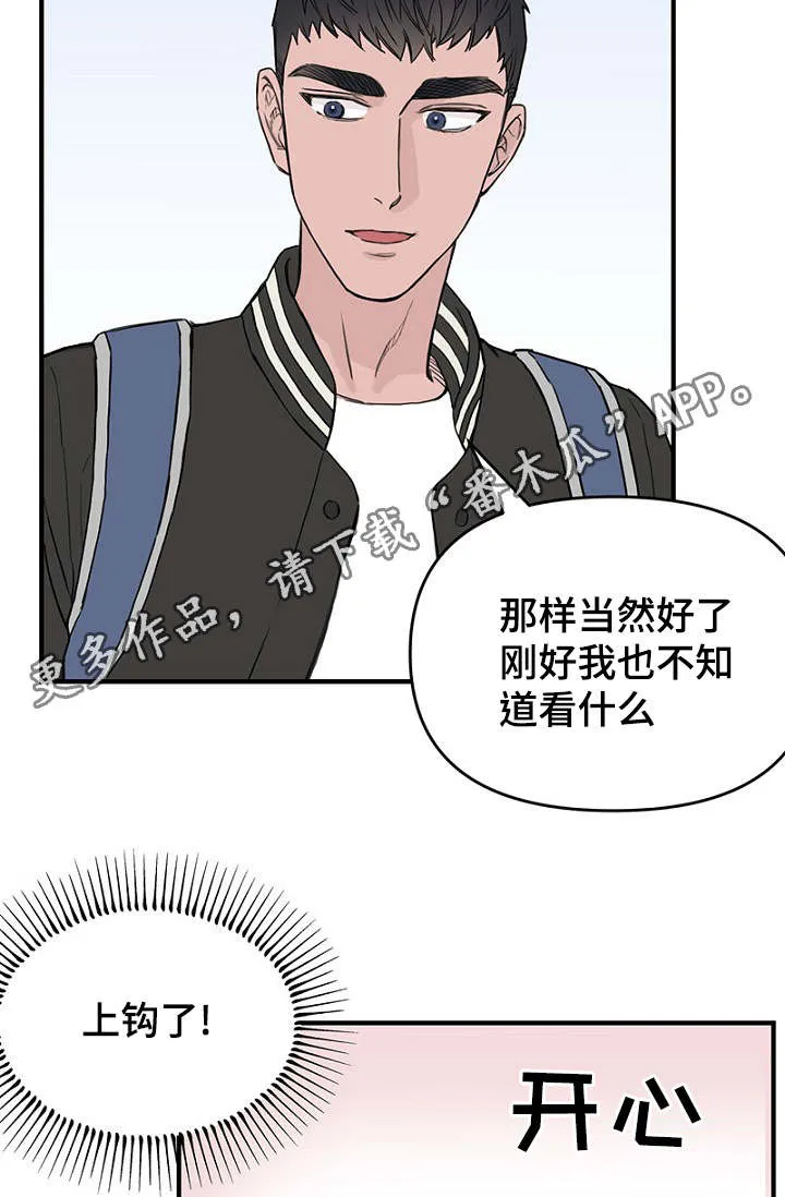 猫咪迷惑行为大赏漫画漫画,第32章：新一轮的计划17图