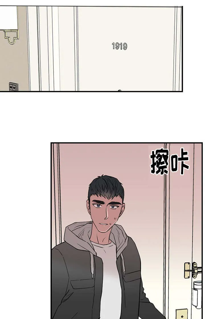 猫咪迷惑行为大赏漫画漫画,第34章：完美计划19图