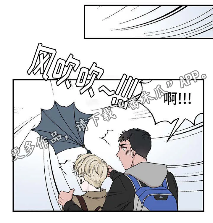 猫咪迷惑行为大赏漫画漫画,第6章：一起躲雨1图