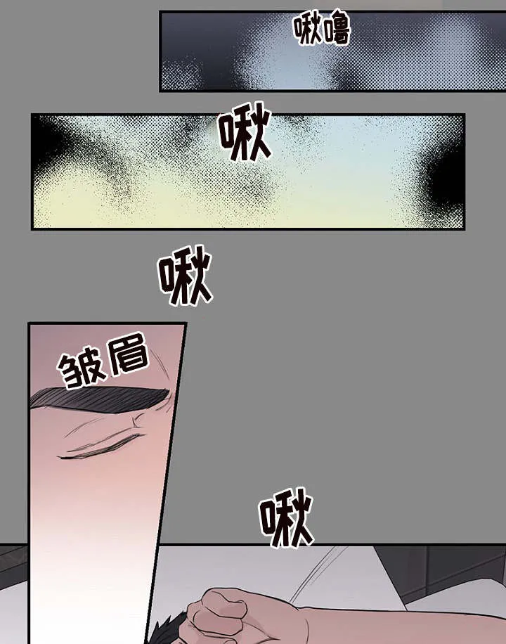 猫咪迷惑行为大赏漫画漫画,第32章：新一轮的计划27图