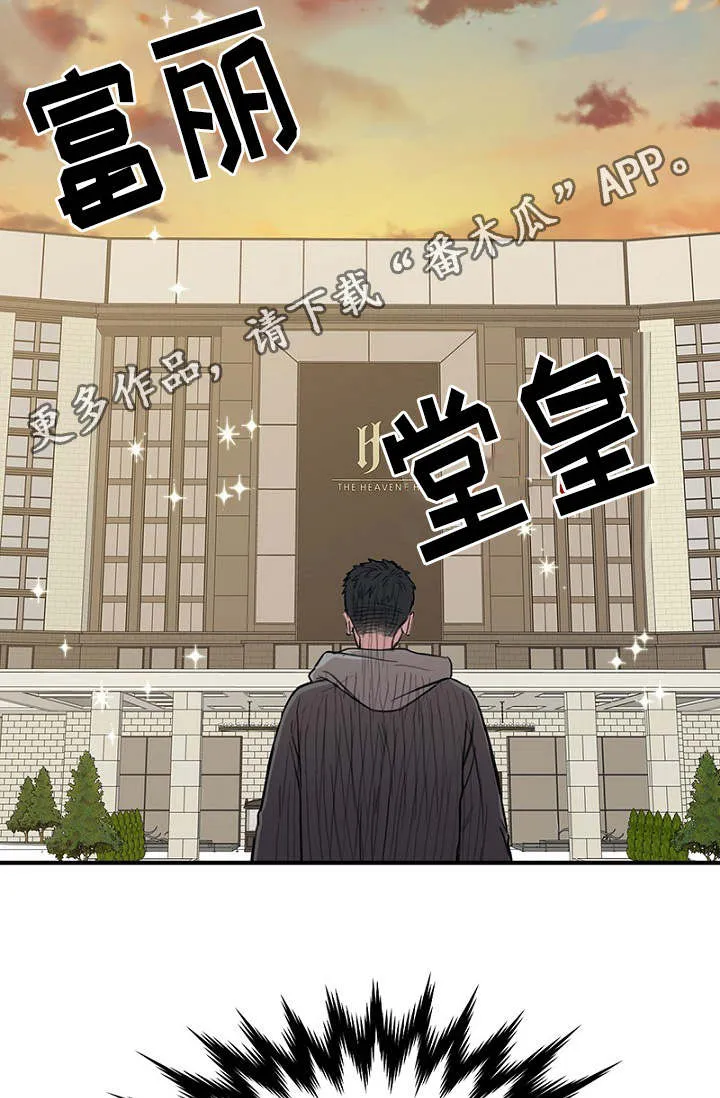 猫咪迷惑行为大赏漫画漫画,第34章：完美计划10图