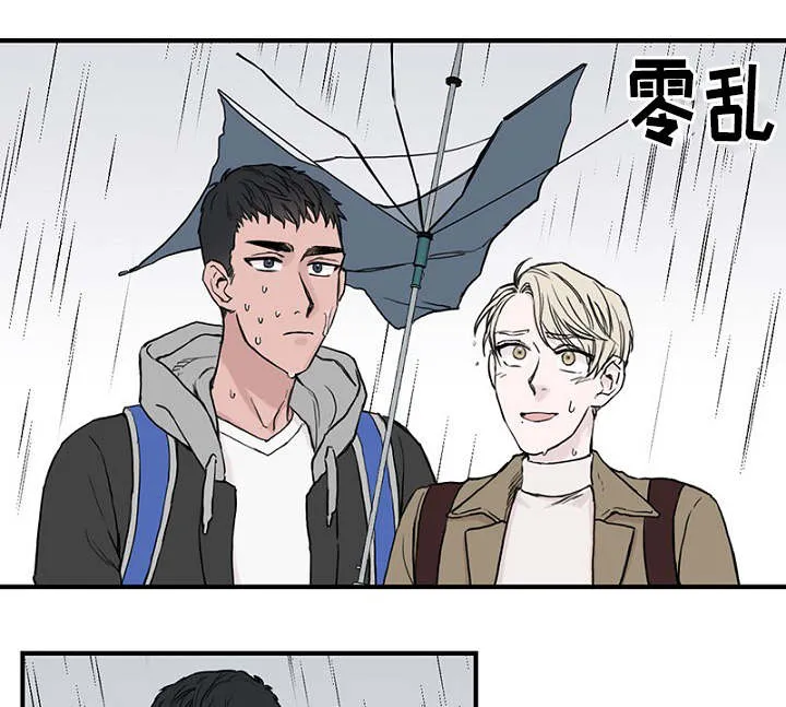 猫咪迷惑行为大赏漫画漫画,第6章：一起躲雨2图