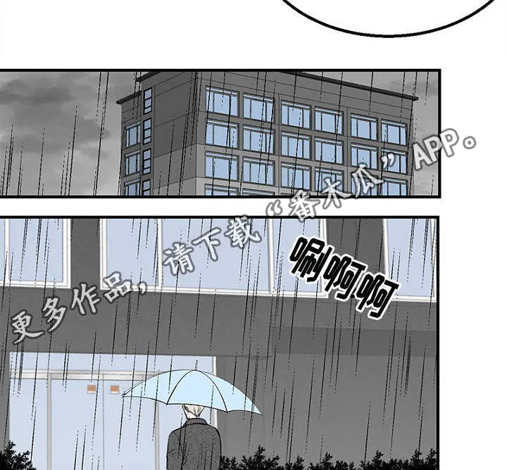 迷惑行动漫画漫画,第8章：发现钱包17图