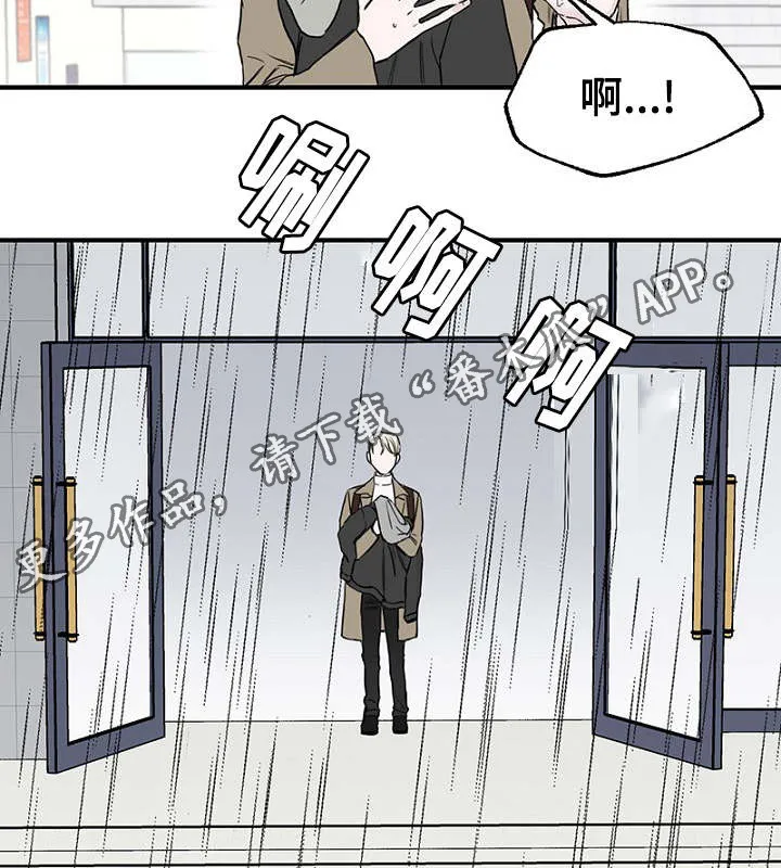 猫咪迷惑行为大赏漫画漫画,第6章：一起躲雨17图