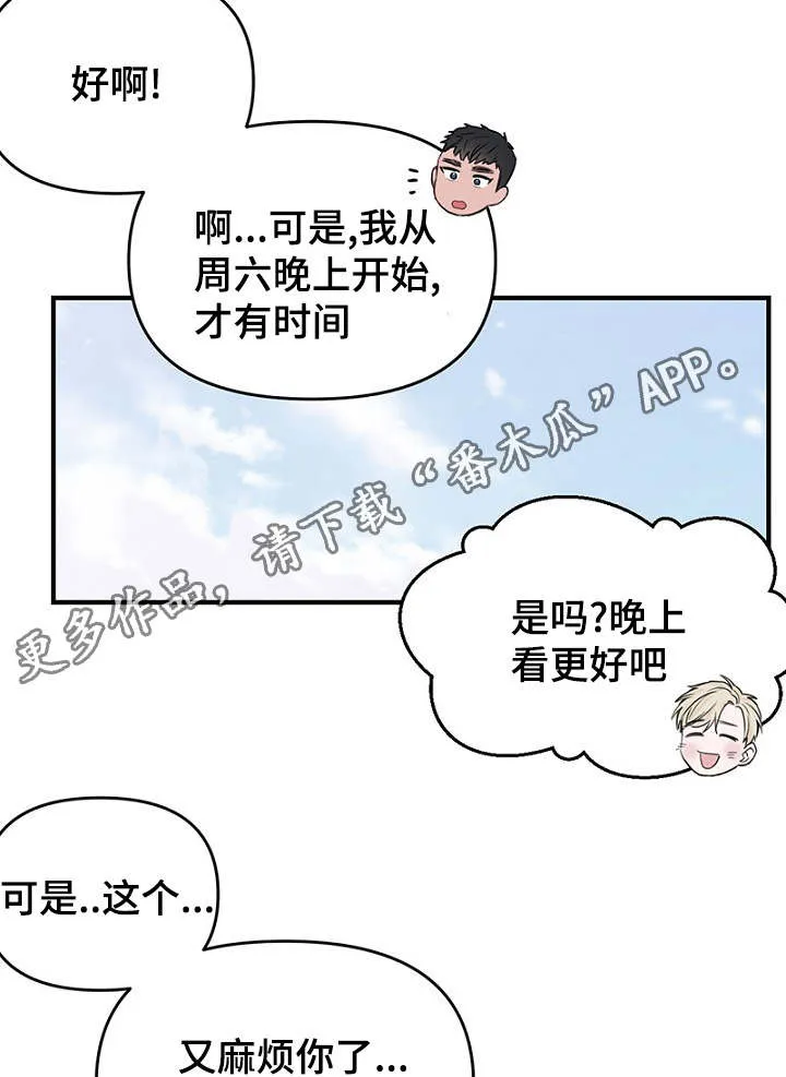 猫咪迷惑行为大赏漫画漫画,第32章：新一轮的计划19图