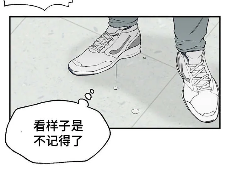 猫咪迷惑行为大赏漫画漫画,第6章：一起躲雨12图