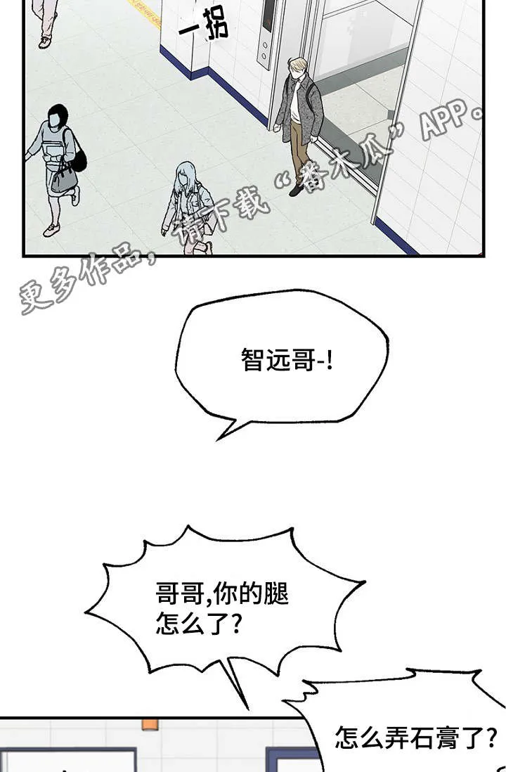 人鱼迷惑漫画漫画,第31章：幻想再次破灭13图