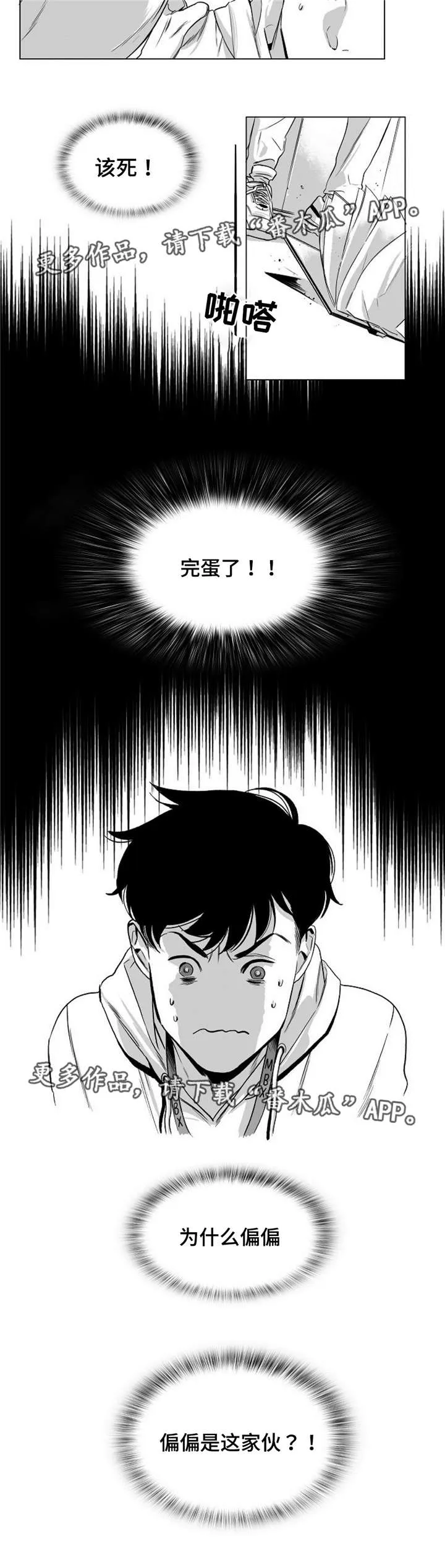 逢场作戏全文免费阅读漫画,第24章：节目嘉宾X小助理3图