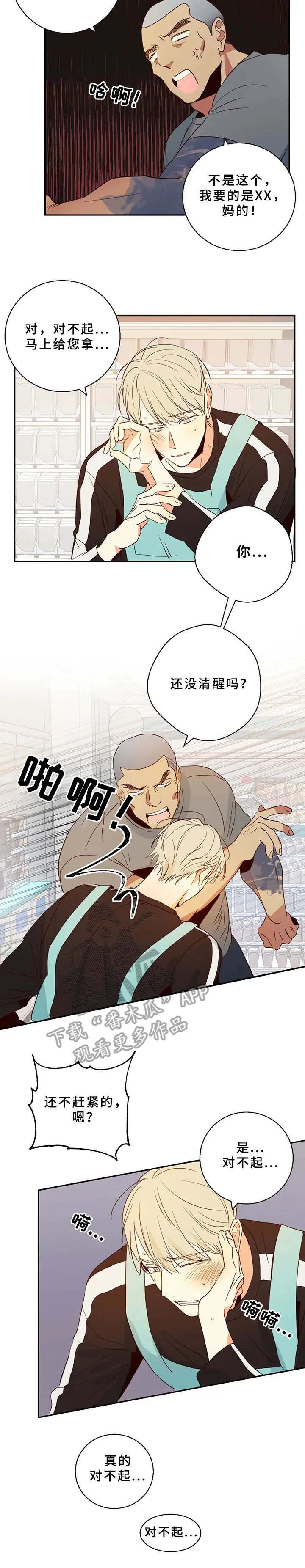 危险便利店漫画漫画,第12章：一团乱11图