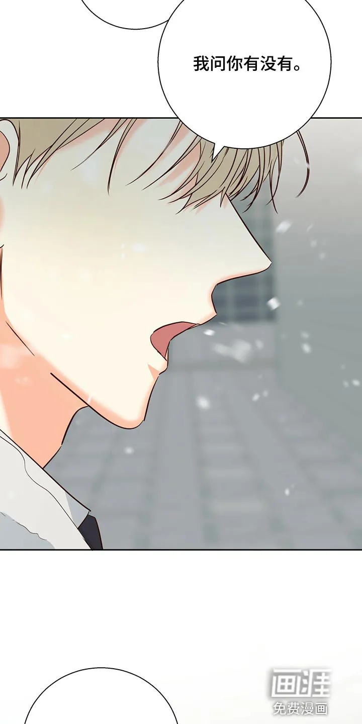 危险便利店漫画漫画,第137章：【第三季】知道一切的权力24图