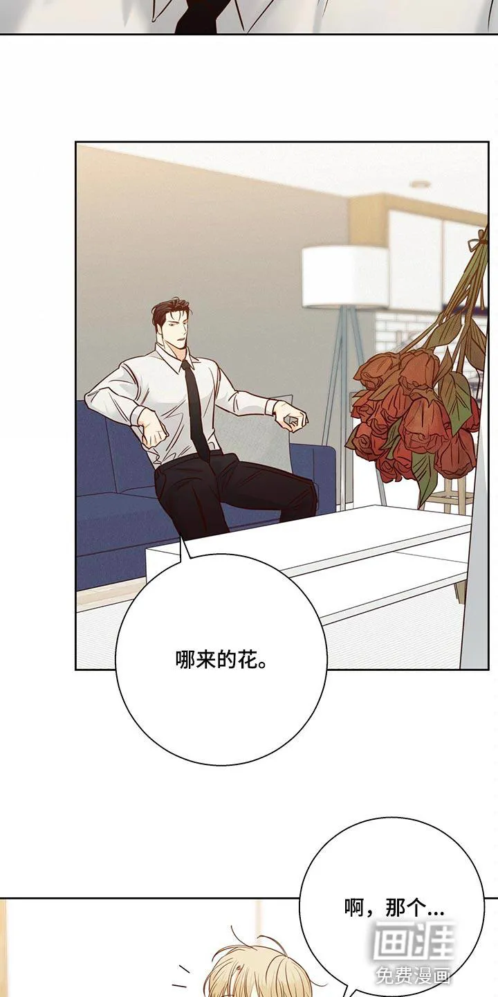 危险便利店漫画版漫画,第115章：【第三季】想和喜欢的人谈13图