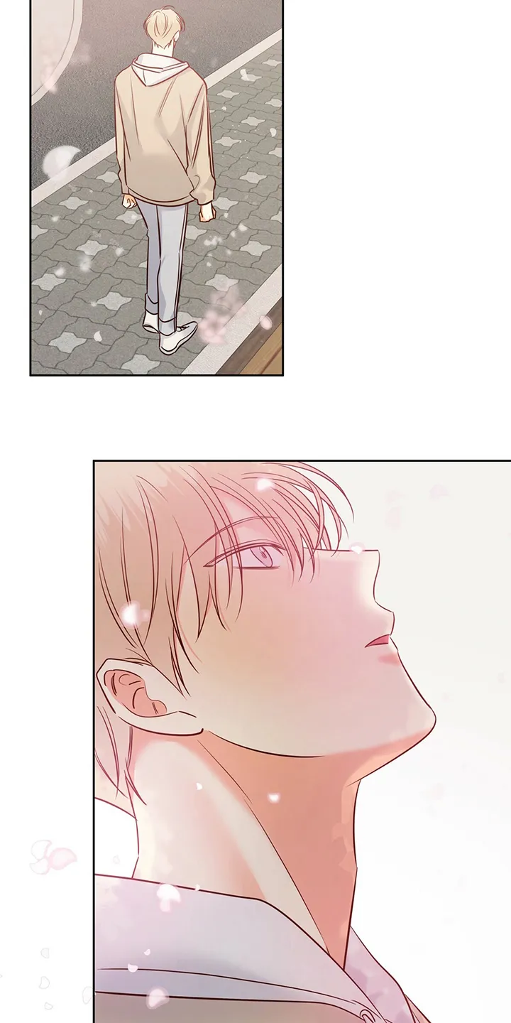 危险便利店漫画英语漫画,第96章：【第二季完结】消失24图