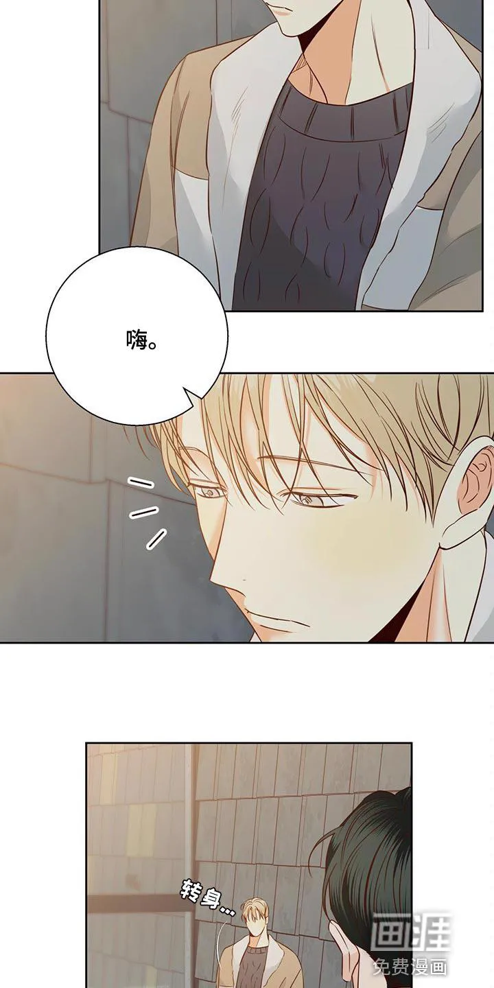 危险便利店漫画免费阅读无删减漫画,第105章：【第三季】好久不见11图