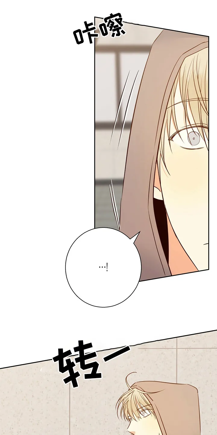 危险便利店漫画英语漫画,第96章：【第二季完结】消失7图