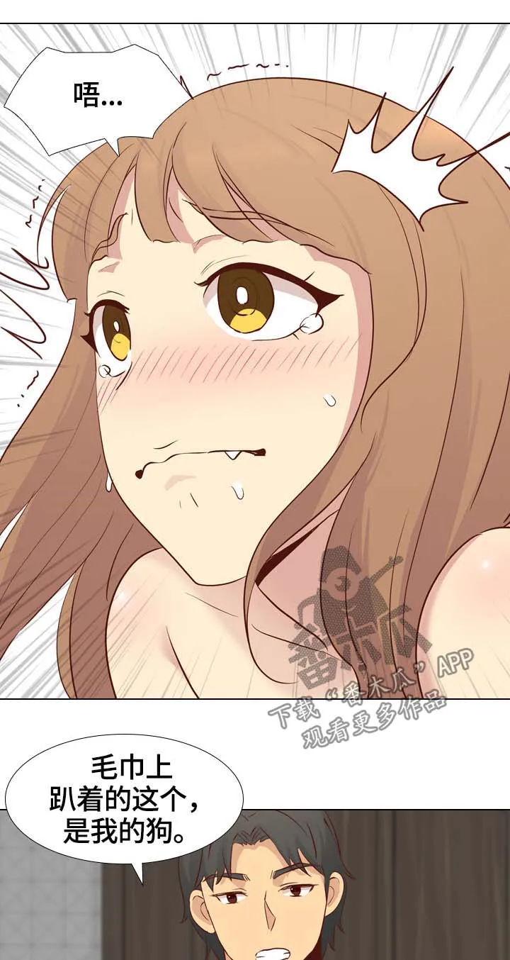 见新思迁漫画漫画,第48章：我的狗12图