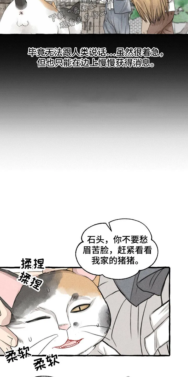 冒险秘密漫画漫画,第128章：猫咪14图