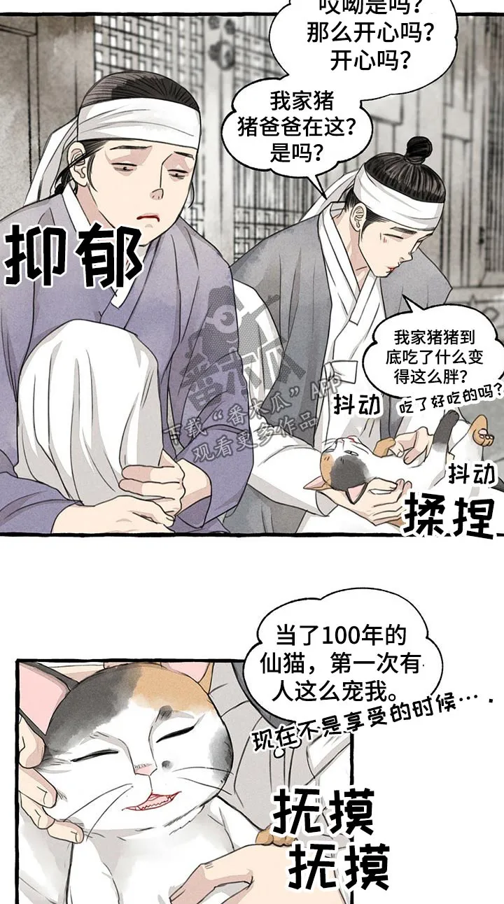 冒险秘密漫画漫画,第128章：猫咪11图