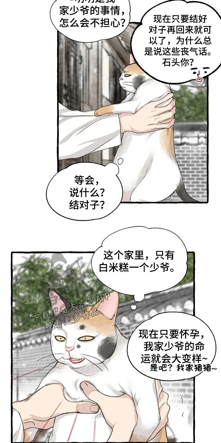冒险秘密漫画漫画,第128章：猫咪18图