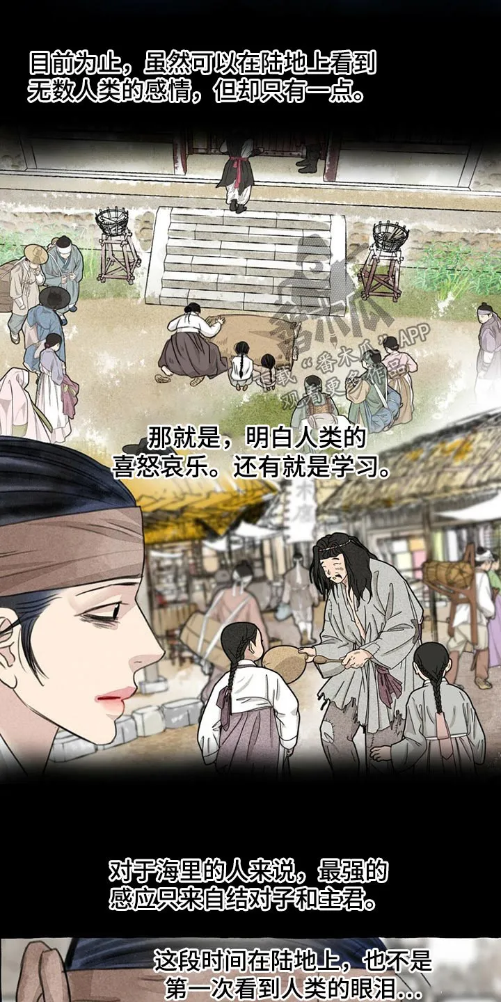 冒险秘密漫画漫画,第128章：猫咪3图